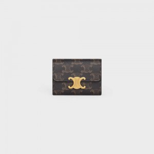 Celine COMPACT WITH COIN TRIOMPHE in triomphe canvas Wallets Tan | CL-592980