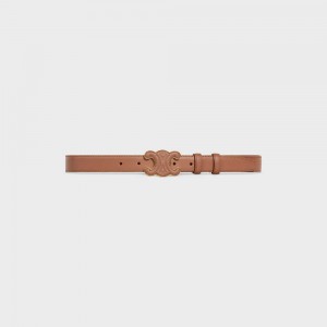 Celine MEDIUM CUIR TRIOMPHE in Taurillon Leather Belts Bronze | CL-592483