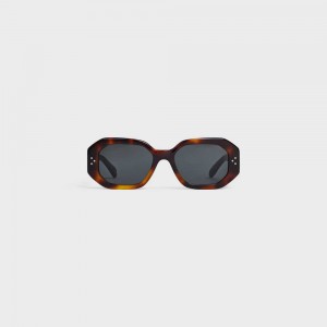 Celine Square S255 in Acetate Sunglasses Classic Havana | CL-592402