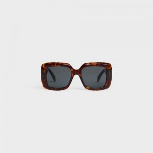 Celine Square S263 in Acetate Sunglasses Classic Havana | CL-592376