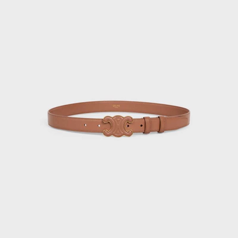 Celine MEDIUM CUIR TRIOMPHE in Taurillon Leather Belts Bronze | CL-592483