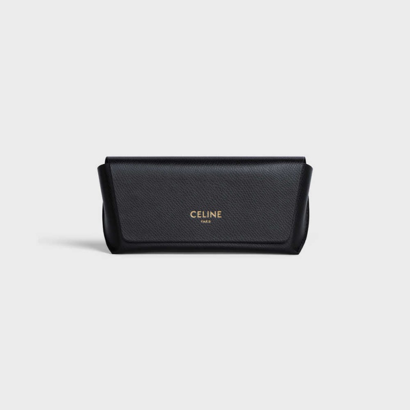 Celine Triomphe 01 in Acetate Sunglasses Black | CL-592379